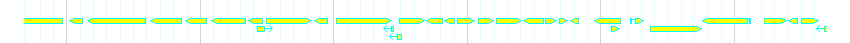 Genes detail