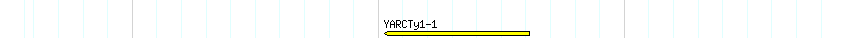 Transp detail
