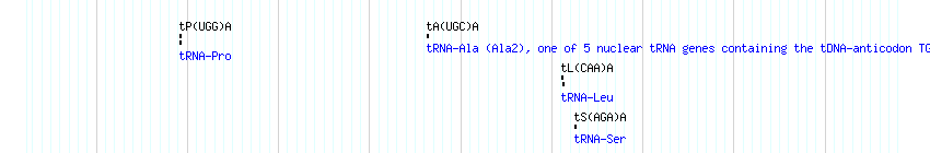 tRNAs detail
