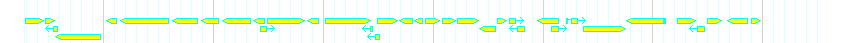 Genes detail