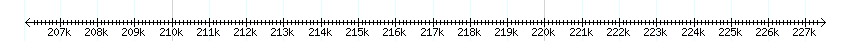 __scale__ detail