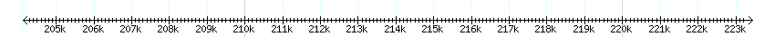 __scale__ detail