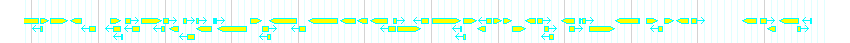 Genes detail