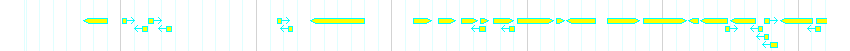 Genes detail