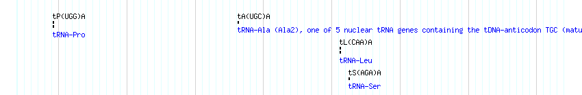 tRNAs detail