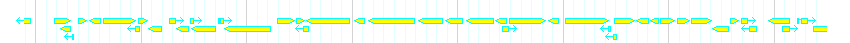 Genes detail