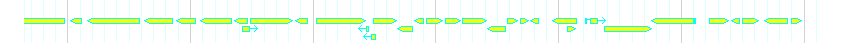Genes detail