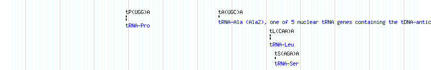 tRNAs detail