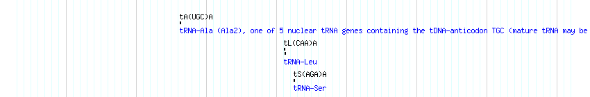 tRNAs detail