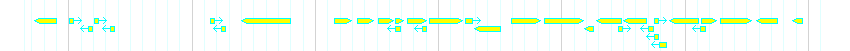 Genes detail