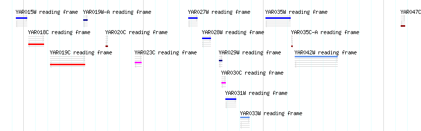 CDS detail
