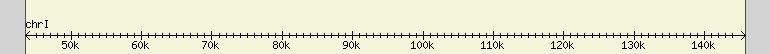 __scale__ region