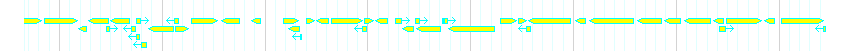 Genes detail