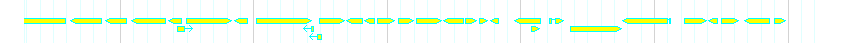 Genes detail