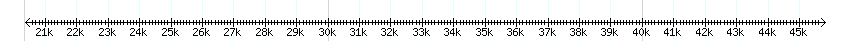 __scale__ detail