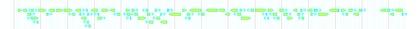 Genes detail