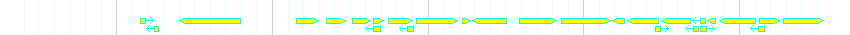 Genes detail