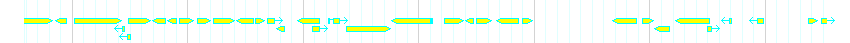 Genes detail
