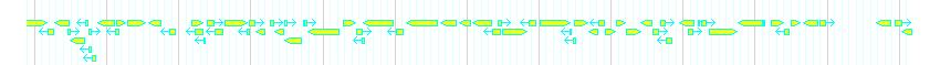 Genes detail