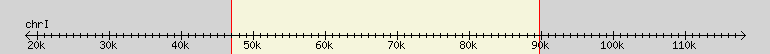 __scale__ region
