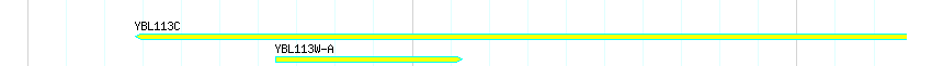 Genes detail