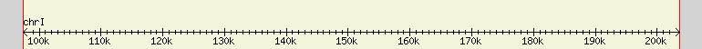 __scale__ region