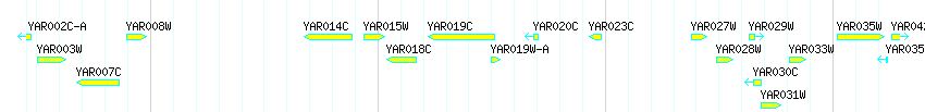 Genes detail