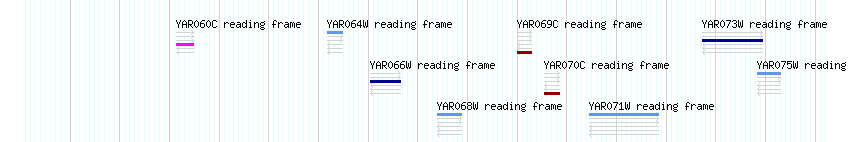 CDS detail