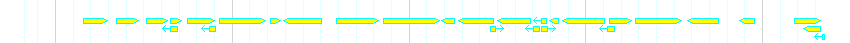 Genes detail