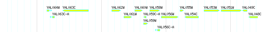 Genes detail