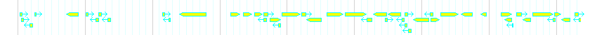 Genes detail