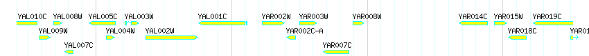 Genes detail