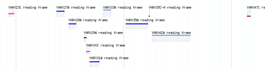 CDS detail