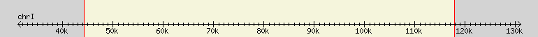 __scale__ region