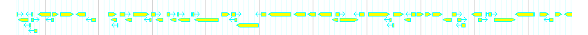 Genes detail