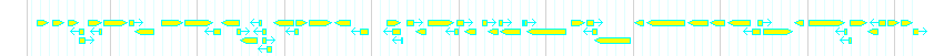 Genes detail