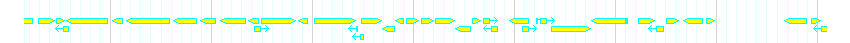 Genes detail
