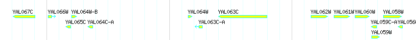 Genes detail