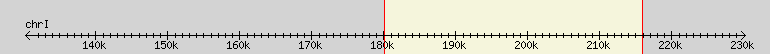 __scale__ region