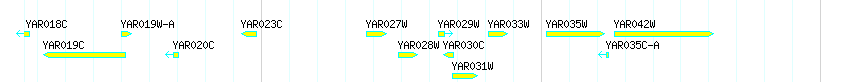 Genes detail