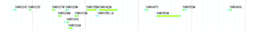 Genes detail