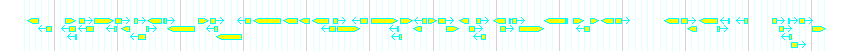 Genes detail