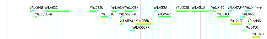 Genes detail
