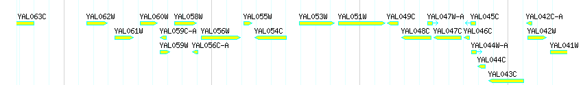 Genes detail