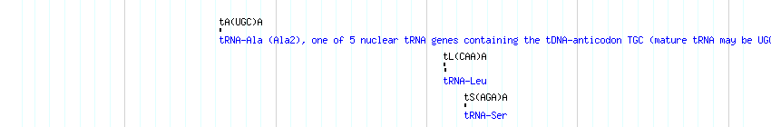 tRNAs detail