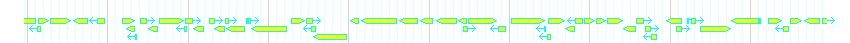 Genes detail