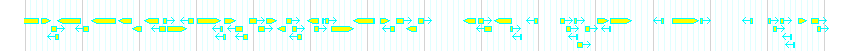 Genes detail