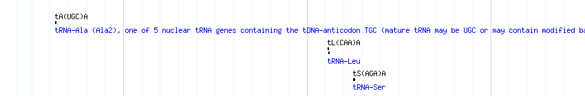 tRNAs detail