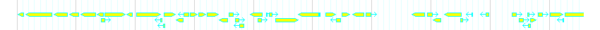 Genes detail