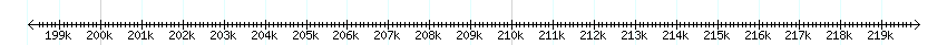 __scale__ detail